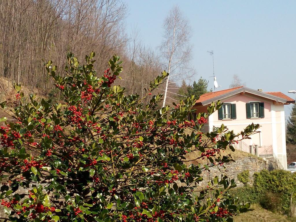 La Villa Morandi Marzio Dış mekan fotoğraf